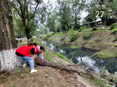 酂阳街道开展排水沟渠清淤清障行.jpg